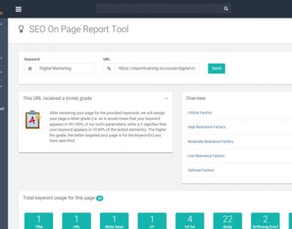SEO Audit Report Tool
